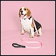 Comfortable dog collar